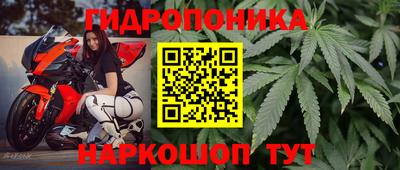 индика Балашиха