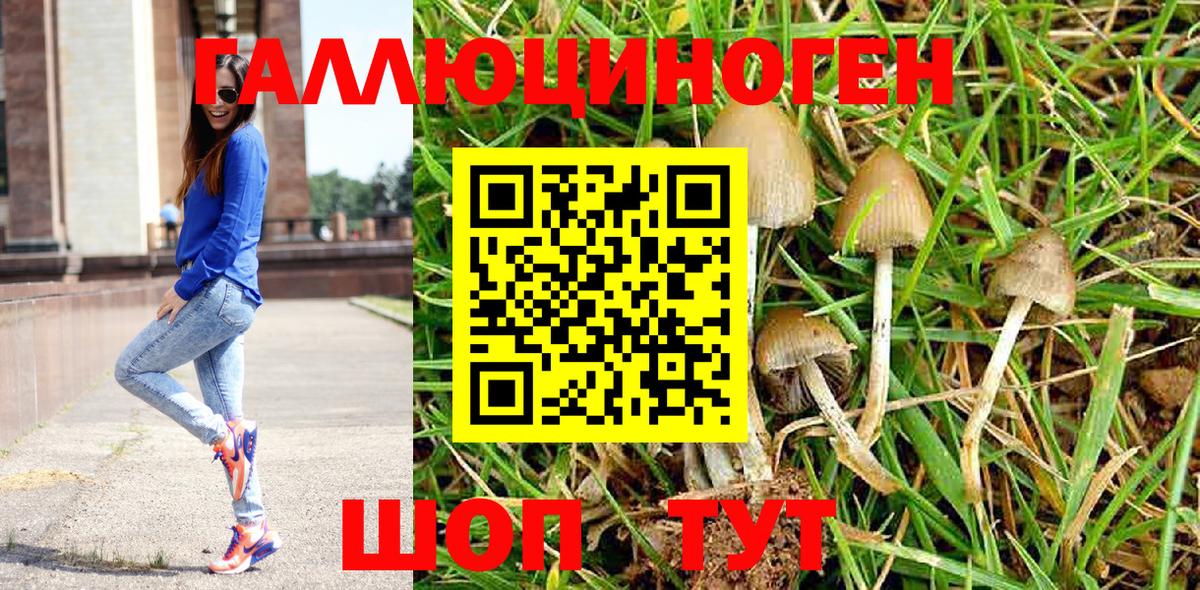 Десногорск  Псилоцибиновые грибы Cubensis  Вход с VPN  Псилоцибиновые грибы GOLDEN TEACHER 
